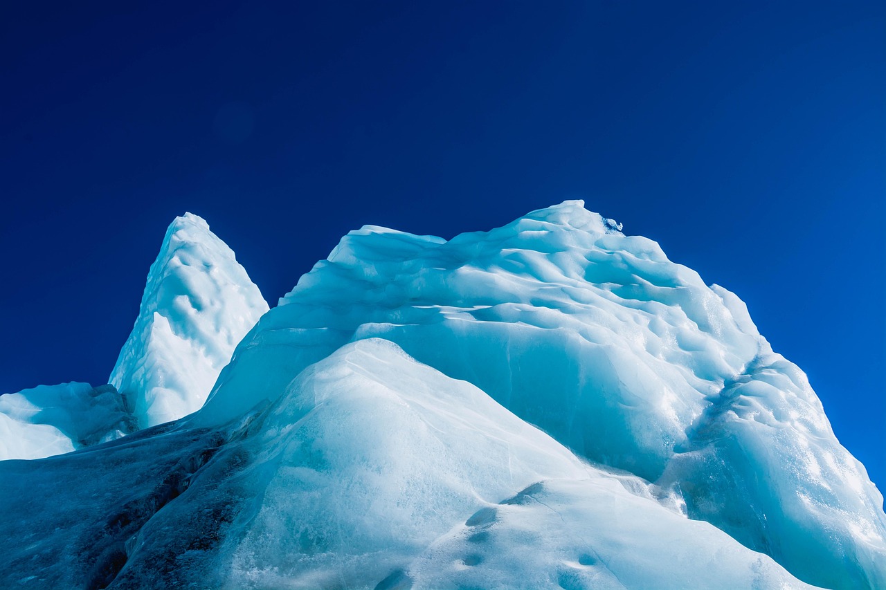 在线DDOS平台攻击|巧虎app详情下载教程安装