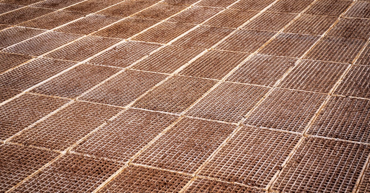 如何帮助游戏经历遭受攻击的玩家